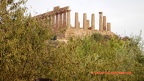 Sizilien - Tal der Tempel - Hera, 2012