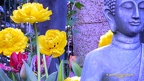 Gartenimpression mit Buddhafigur - 2019